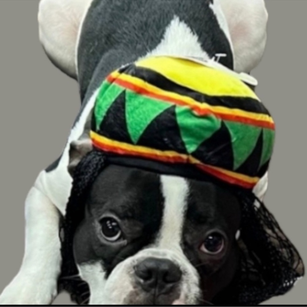 Dog Fashion Dreads Dog Costume Hat